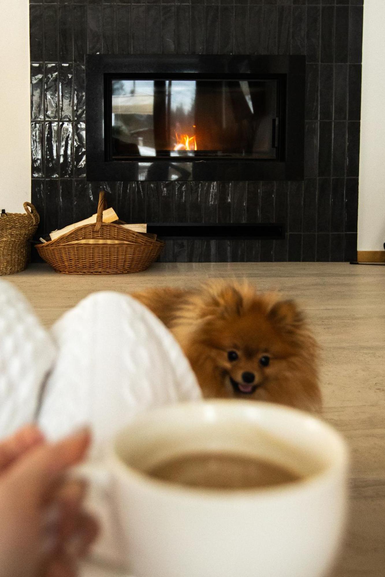 Rycerki Dom Na Szlaku Villa Rajcza Ngoại thất bức ảnh